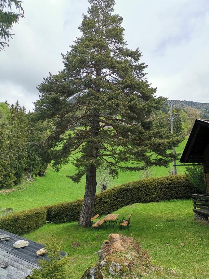 Apartamento Waldheimat Fresach Exterior foto